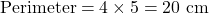  \text{Perimeter} = 4 \times 5 = 20 \text{ cm} 